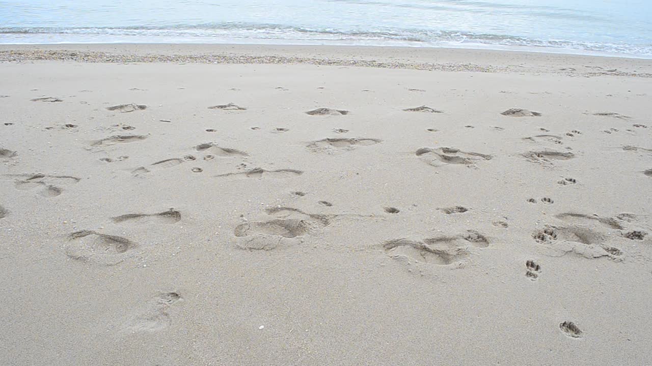 Tracce sulla sabbia del mare. Tracce e sabbia