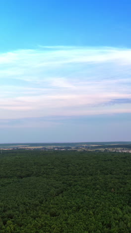 drone is rising up over the natural environment in summer. green forest under bright sky outdoors. beautiful scenery in the countryside. vertical video