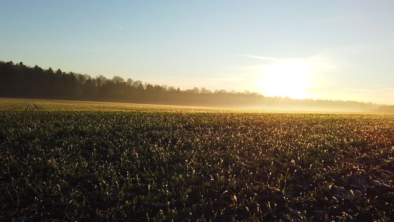 vista panorámica sobre un campo verde al atardecer en el bosque negro, alemania