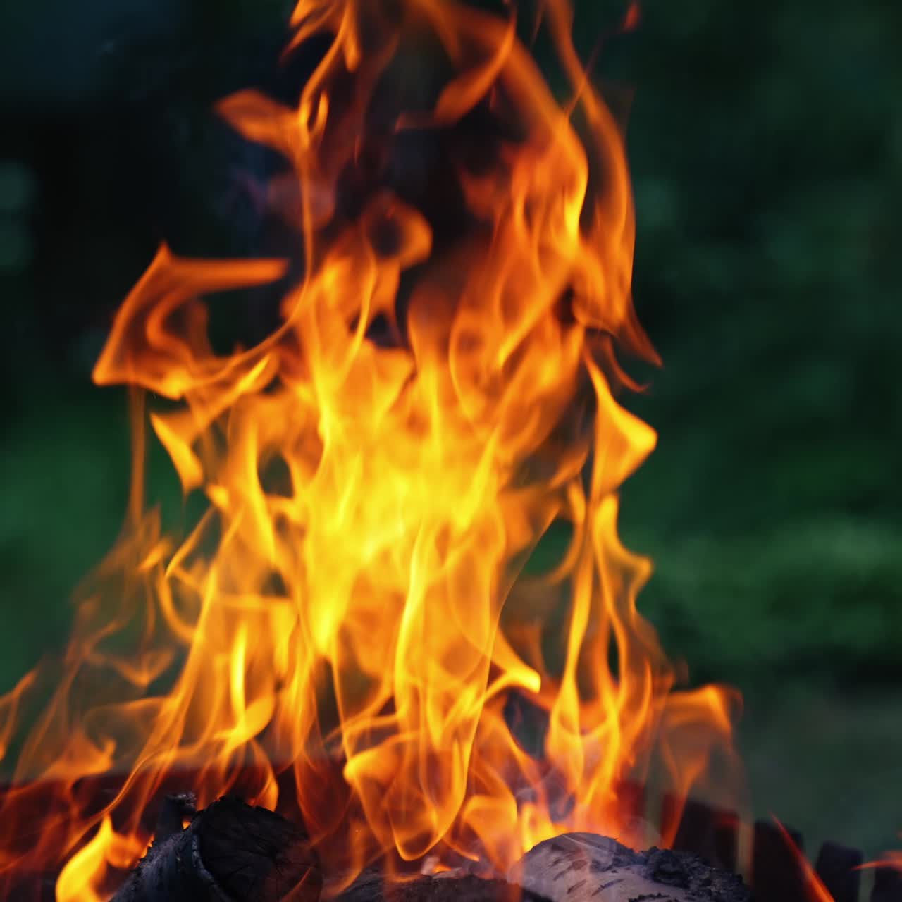 Burning log of wood