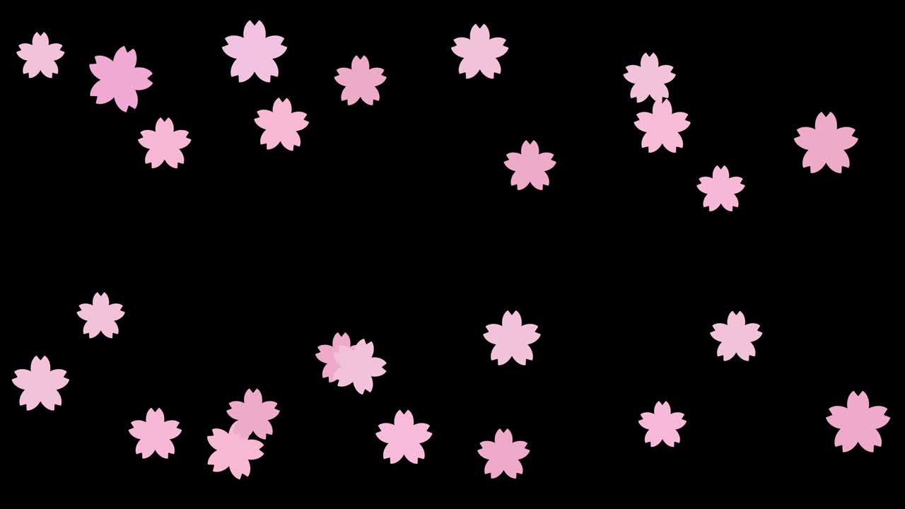 흐르는 체리 꽃 애니메이션 검은 배경