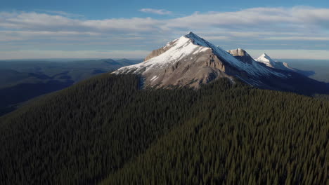 aerial view of snowy mountain peak and pine forest
