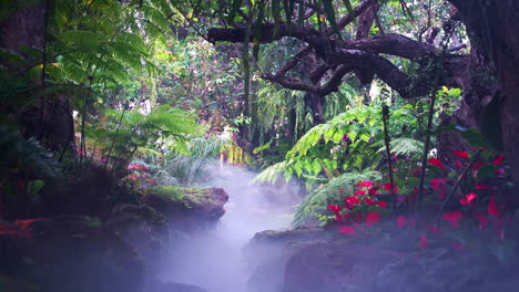 Bezaubernder-Tropischer-Regenwald-Mit-Blumen-Und-Nebel,-Der-Den-Boden-Bedeckt