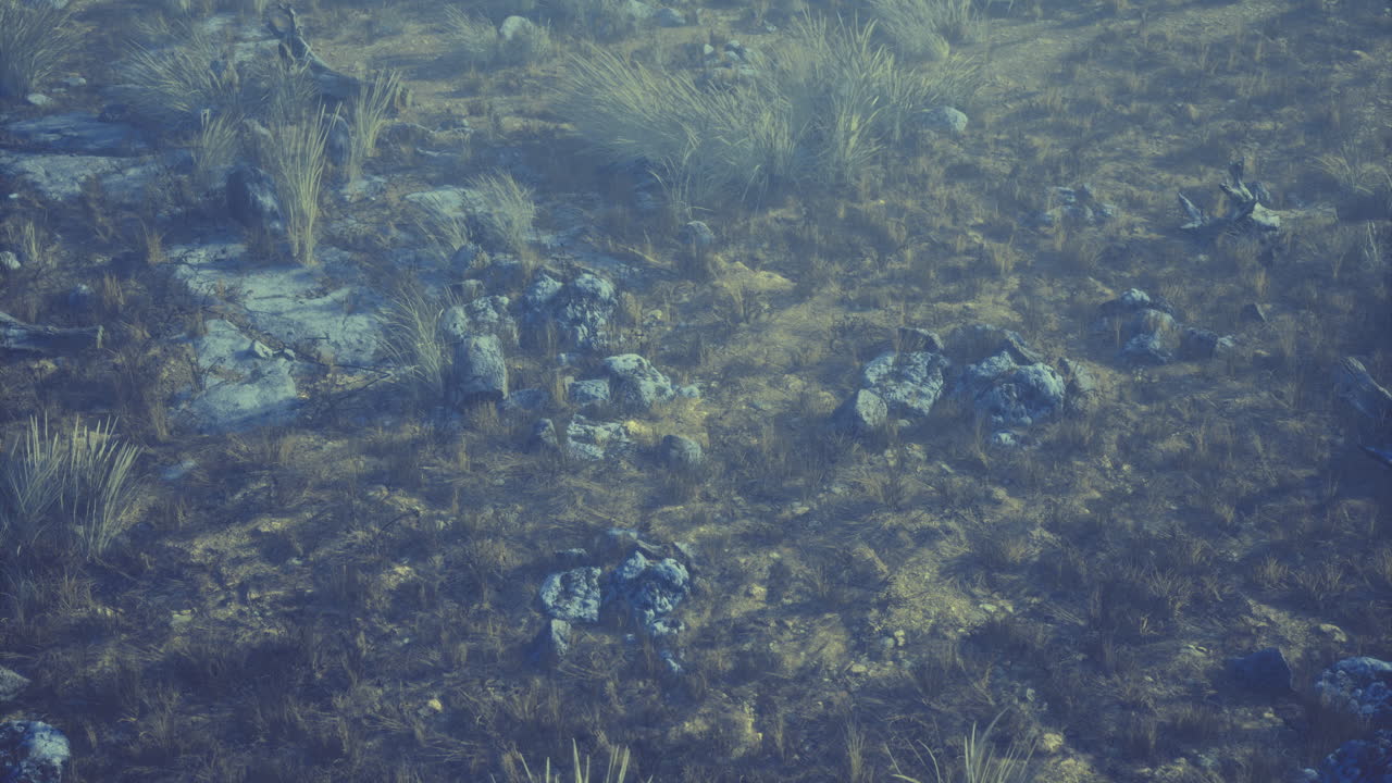 Landscape of rocky terrain with sparse grass under soft lighting at dusk