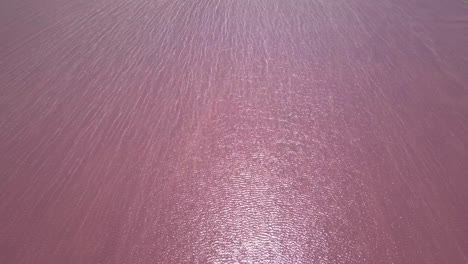 aerial: pink lake in mexico to produce salt