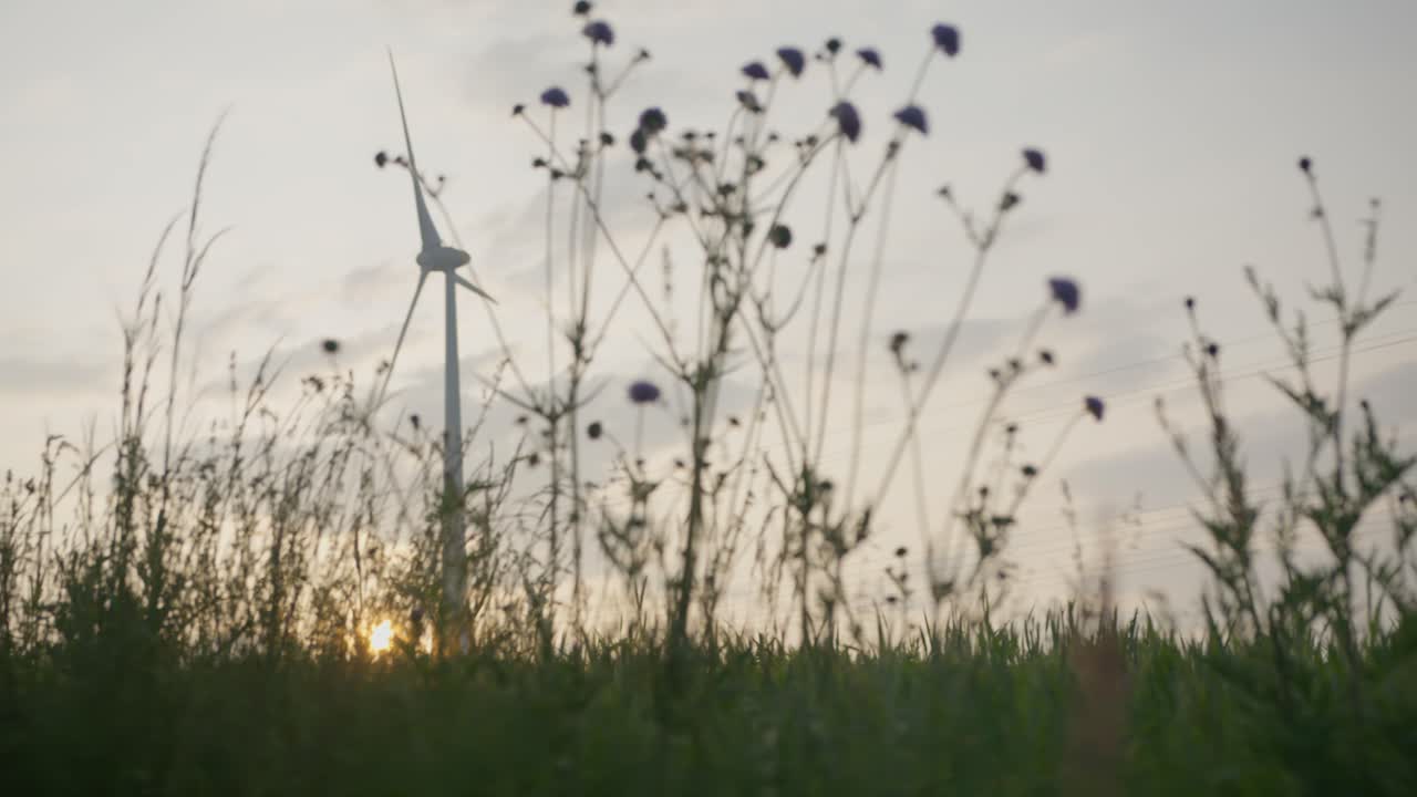 황금 시간 에 바이에른 들 에서 풍력 터빈 근처 의 식물성 의 느린 파노라마