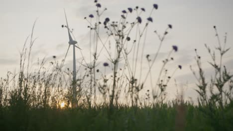 Langsames-Panorama-Der-Vegetation-In-Der-Nähe-Von-Windkraftanlagen-In-Bayerischen-Feldern-Zur-Goldenen-Stunde