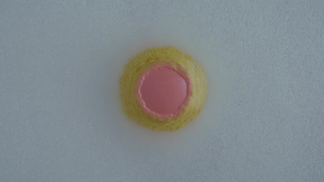 small pink and yellow dessert