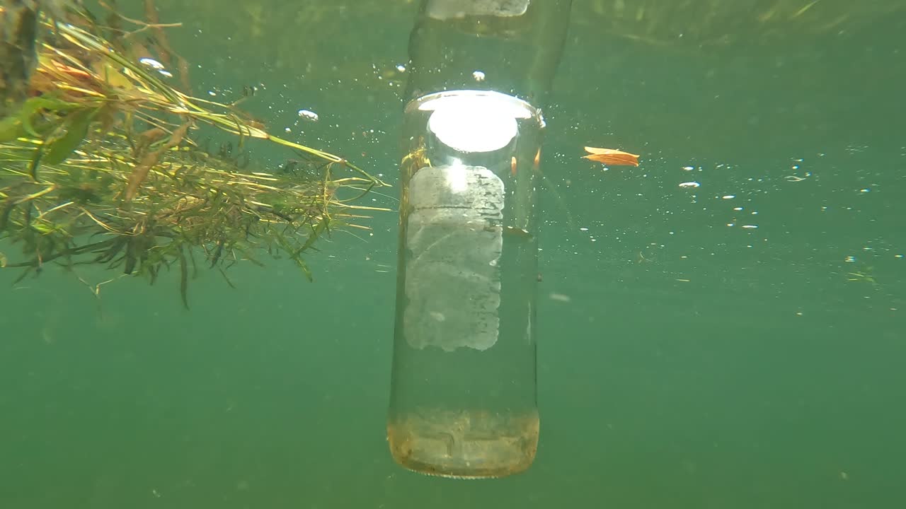 vista dentro del río de botellas de vidrio, basura y plantas acuáticas flotando en el río são francisco, en el noreste de brasil en el estado de pernambuco en brasil