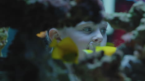 happy girl in aquarium looking at tropical fish curious child watching colorful sea life swimming in tank learning about marine animals in underwater ecosystem cute kid at oceanarium