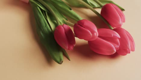 Video-Eines-Straußes-Roter-Tulpen-Mit-Kopierraum-Auf-Gelbem-Hintergrund