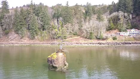 Flying-by-solo-tree-on-rock-island-in-the-bay-with-drone-1080p