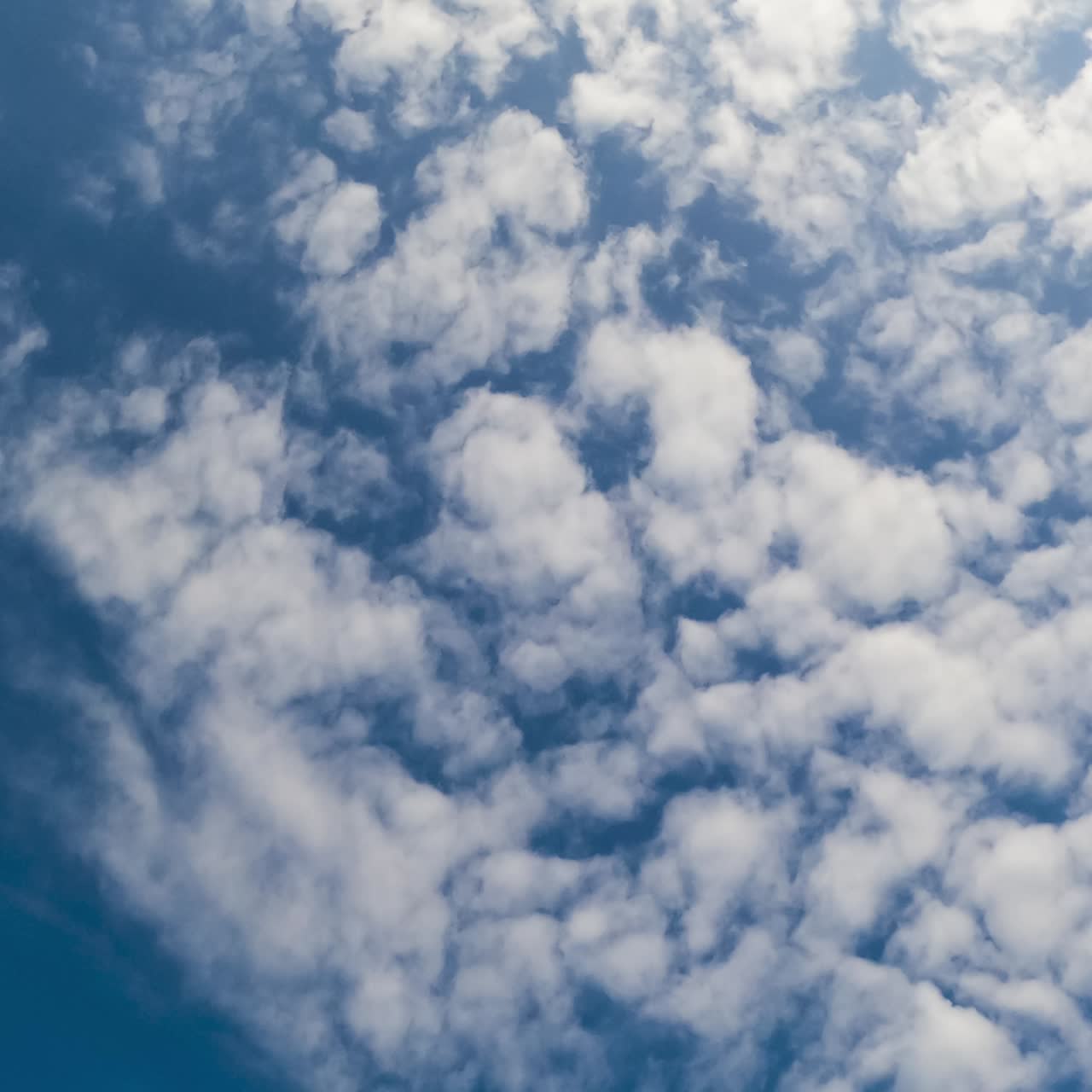 Cumulus clouds in the dark blue sky. Soft white clouds flying in the horizon. Low angle view. Timelapse