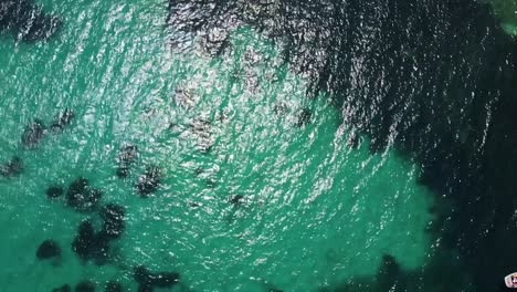 drone flying over the turquoise mediterranean sea in nice showing boats