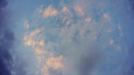 birds fly in evening blue sky with gray white and pink clouds