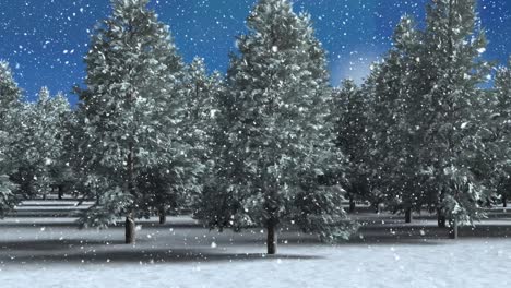 snow falling over winter landscape with multiple trees against sky