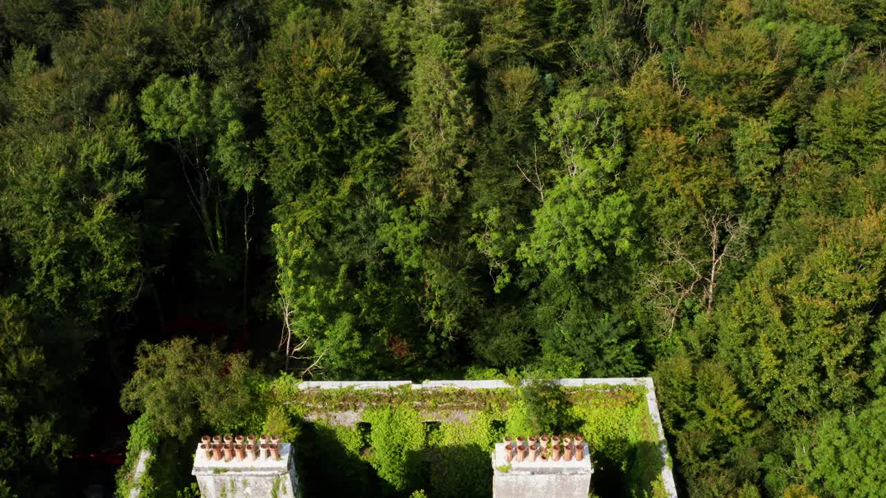 Aerial Flyover of the Ivy-Covered Moore Hall Historic Ruins Surrounded by Irish Forest