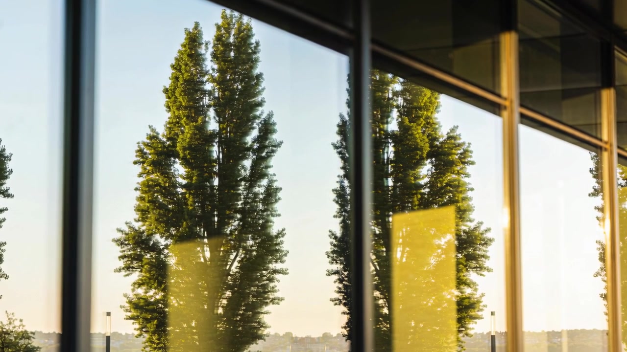 Lowering golden sun warming frames and lifting yellow reflections at lobby glass, framing two trees