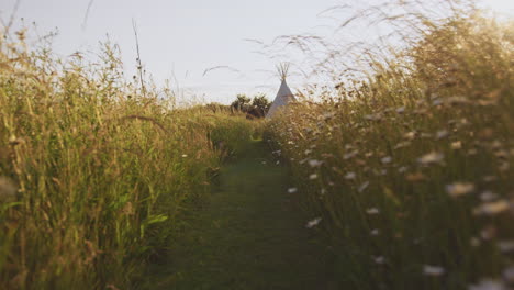 tracking shot along path through field of wild flowers and grass towards teepee