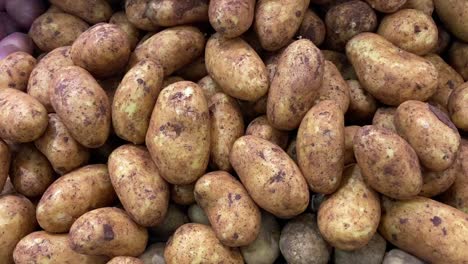 unwashed organic fresh potatoes in the market