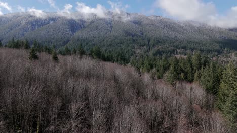 Pacific-Northwest-mountain-range-covered-in-snow-capped-trees-in-Washington-State-North-Bend