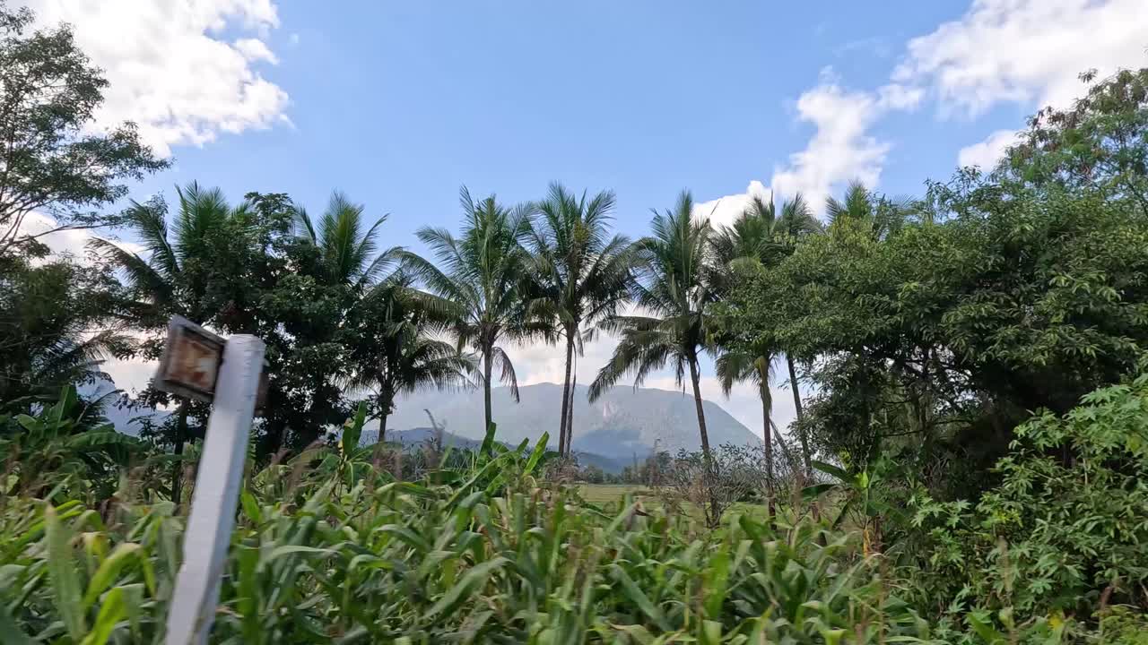 푸른 초원 과 나무 를 지나가는 여행