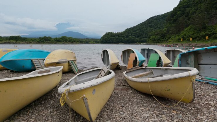 Old boats on the shore