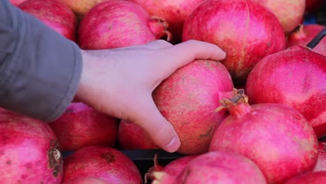 compras de frutas en una tienda de verduras 2