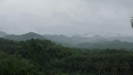 shower rain in tropical rainforest with mist, fog and clouds