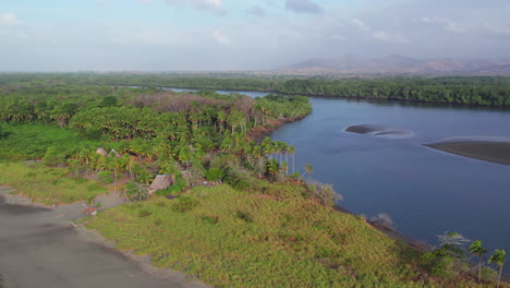 aerial establishing shot of the dense rainforest and black beach at canas island