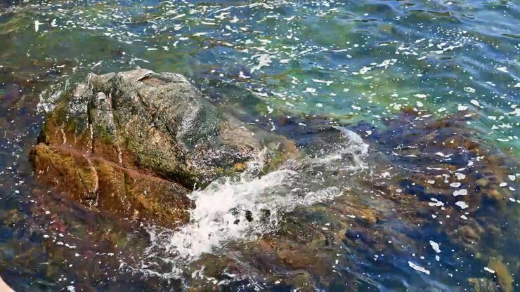 Scena marina soleggiata. Vivace movimento delle onde costiere. Litorale marino luminoso con vivaci spruzzi. Costa rocciosa splendente caratterizzata da onde che si infrangono e vita marina colorata.