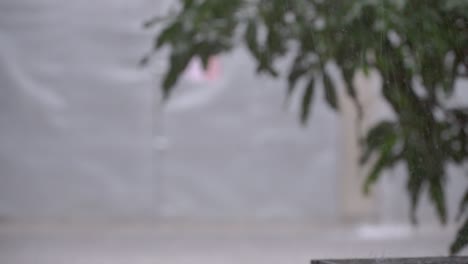 Heavy-rain-with-defocused-trees-on-the-background