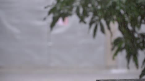 heavy rain with defocused trees on the background