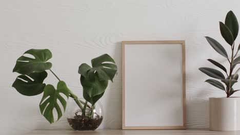 Marco-De-Madera-Con-Espacio-De-Copia-Sobre-Fondo-Blanco-Con-Plantas-Contra-La-Pared-Blanca