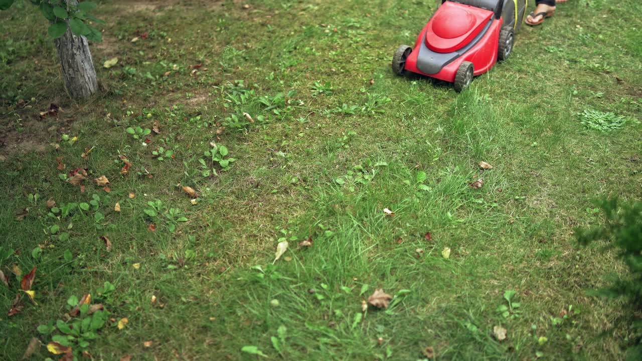 Lawn mower is cutting grass in the backyard. Modern machine mowing grass outdoors. Gardening activity.