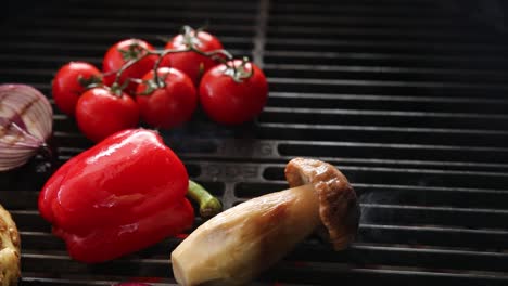 grilled vegetables on barbecue