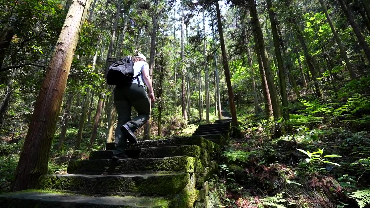 Young female traveler with backpack climbing up old stone steps in Zhangjiajie National Forest Park
