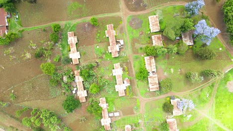 asentamientos rurales de áfrica, casas rurales de kenia, granjas de agricultura verde, asentamientos pobres de áfrica, casas rurales de kenia