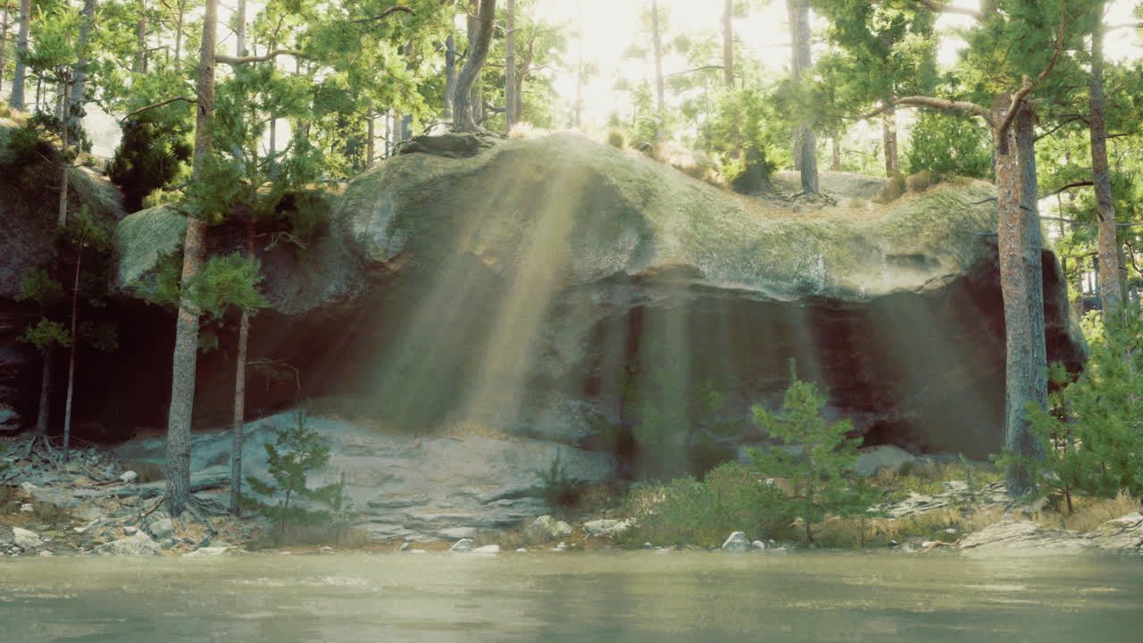 Natural light streams through trees beside serene waters in forest setting