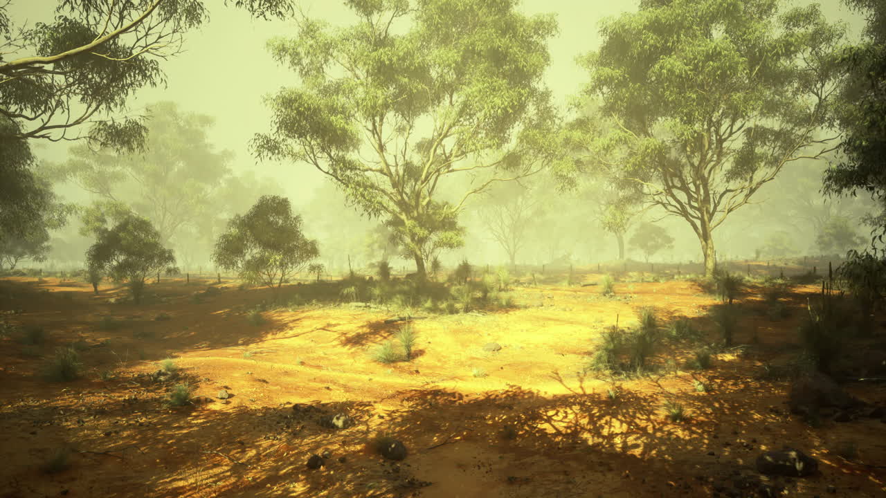 Dusty landscape with vegetation under golden sunlight at midday
