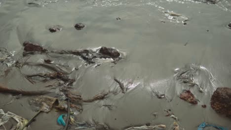 aún tiro de basura y plástico usado en la arena en una orilla del río