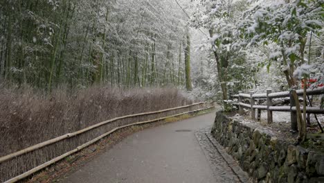 Bamboo-path-in-Kyoto,-Japan