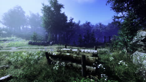 serene forest setting with logs and wildflowers under a clear sky