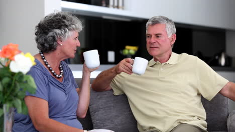 Pareja-Madura-Charlando-Junto-Con-Una-Taza-De-Café