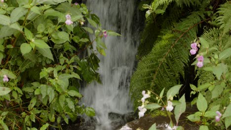 Plano-Medio-De-Una-Pequeña-Caída-De-Waher-En-El-Valle-De-Garw,-Afan,-Cynonville