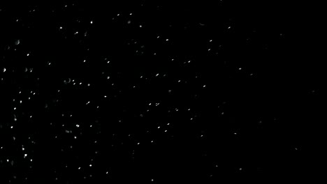 abstract dust particles on dark background loop seamless ready