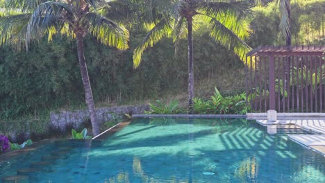 luxury infinity pool at hotel in lombok indonesia with tropical palm trees surrounding the area