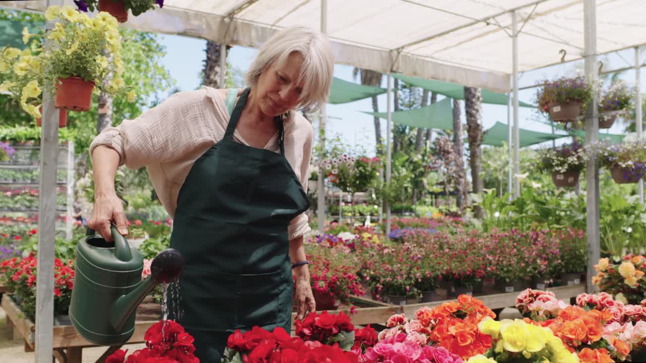 Eldre kvinne som vanner blomster i planteskole