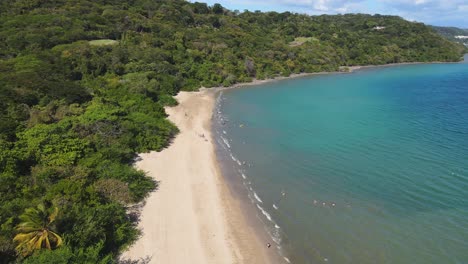 scenic nacascolo tropical beach where forest meets sea in costa rica, 4k aerial drone