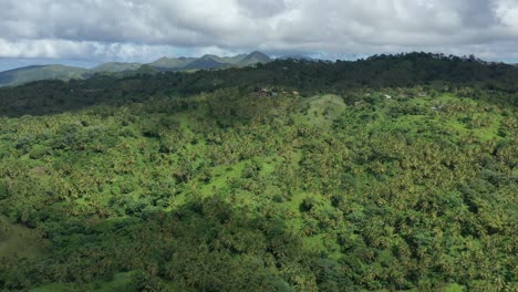 drone flying over green and lush forest near samana bay in dominican republic